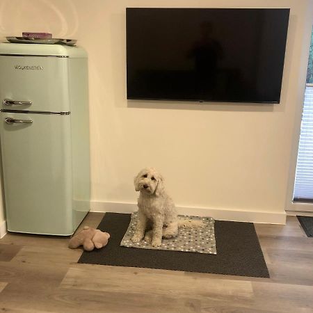 Haus Am Iberg 4 Apartment วิลลิงเงิน ภายนอก รูปภาพ